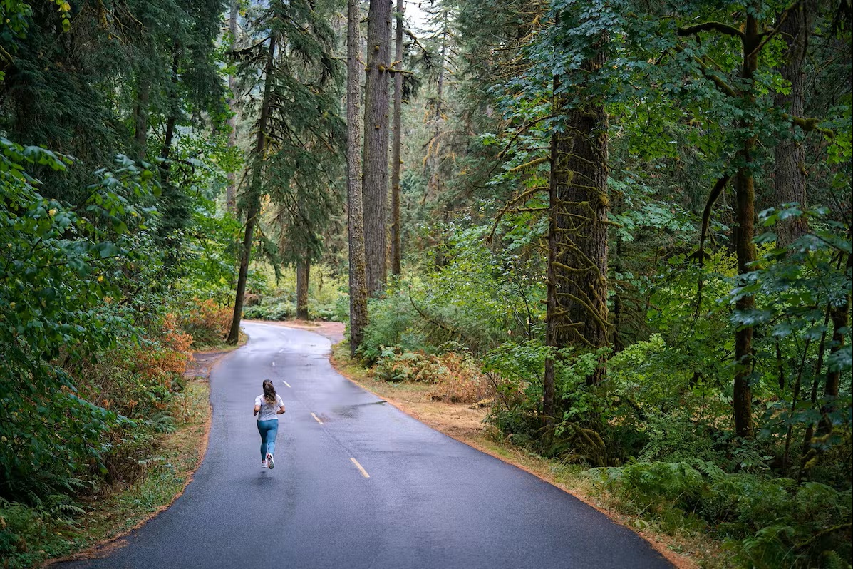 Bild Läuferin läuft auf der Straße durch den Wald