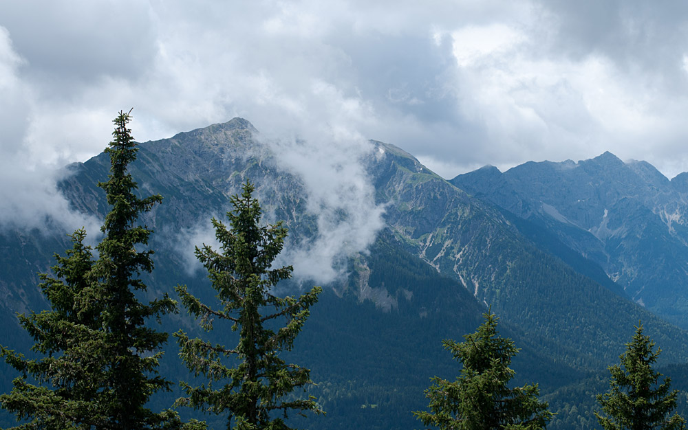 Bild Blick ueber Wald auf eine wilde Berglandschaft. Am Himmel dramatische Wolken.