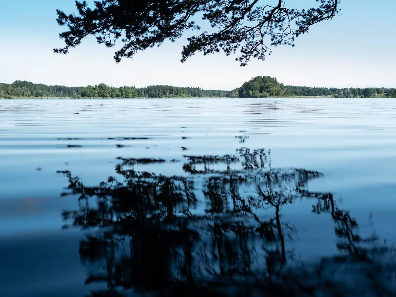 See mit Spiegelung eines Baumes
