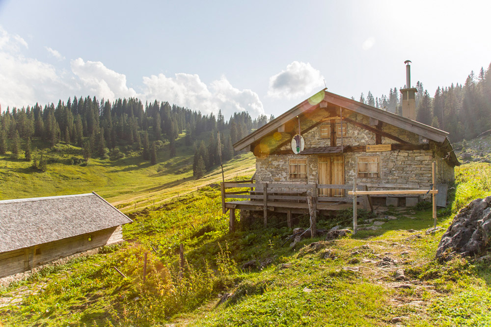 Bild Die Bayerische Wildalm, eine Selbstversorgerhuette, im warmen Sonnenlicht.