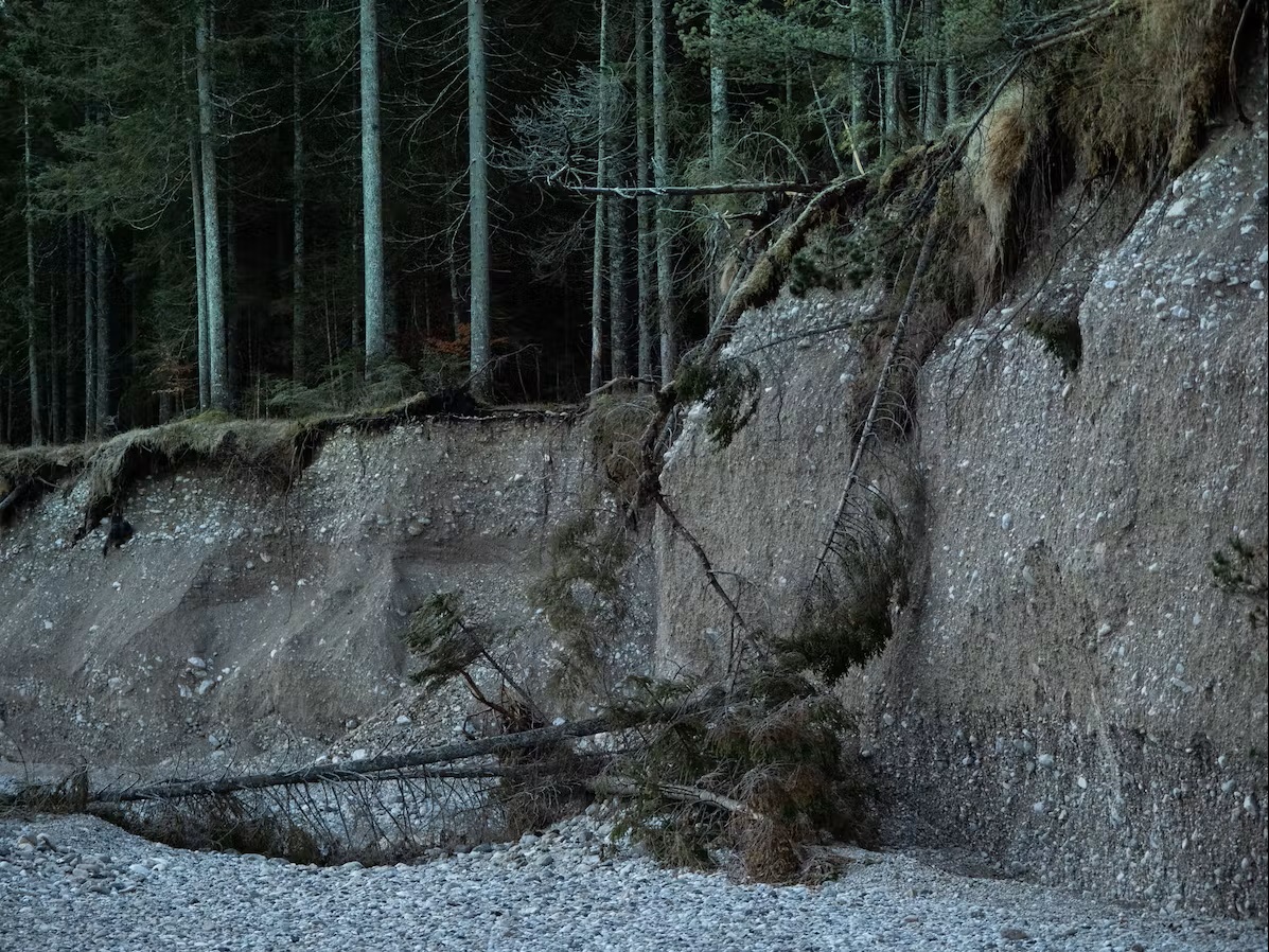 Bäume liegen am Boden