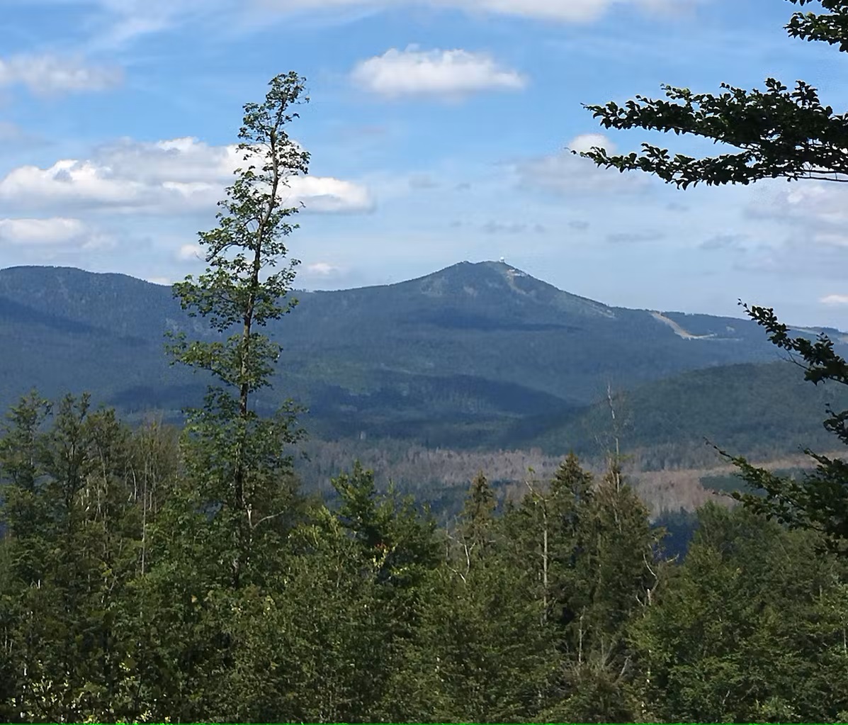 Bild Blick vom Falkenstein zum Arber
