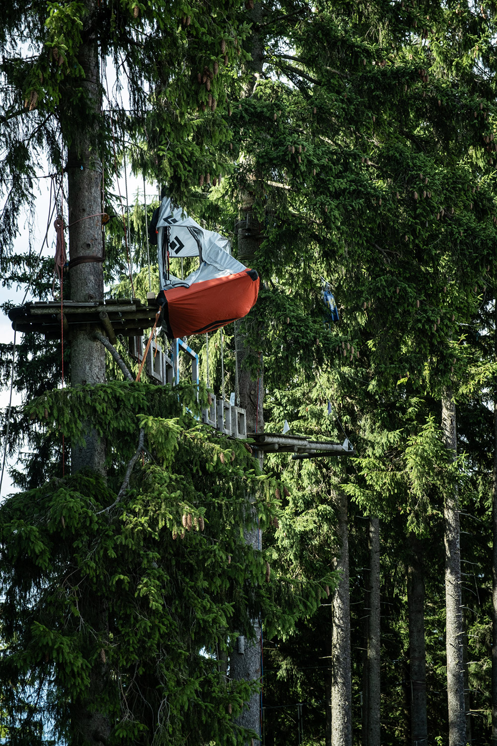 Bild Eine Portaledge hängt hoch oben in der Baumkrone in einem Bergwald.