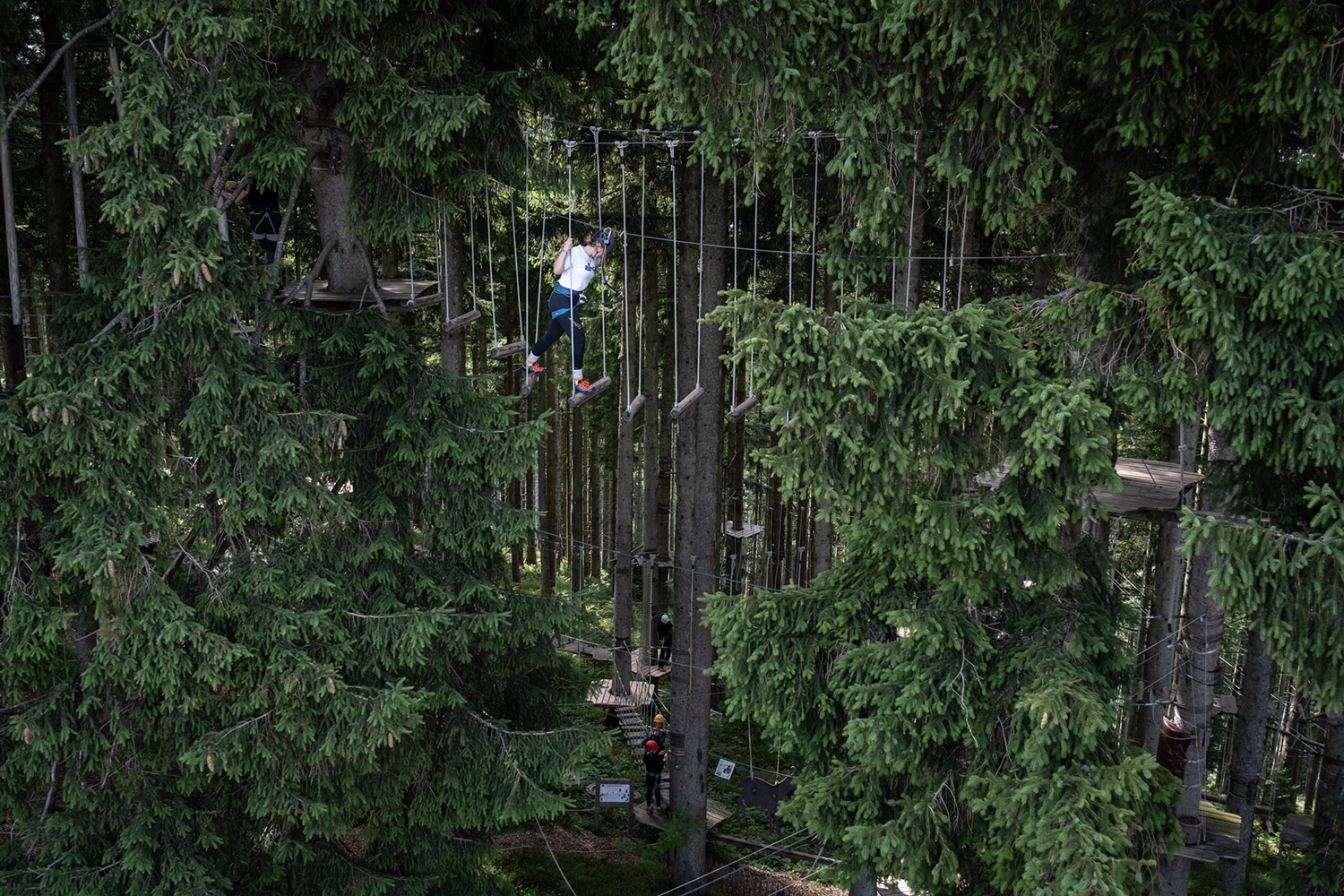Bild Eine Frau klettert durch einen schaukelnden Abschnitt im Hochseilgarten, mitten in den Baumwipfeln.
