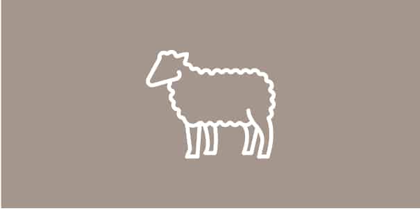 Bild Merino Unterwäsche