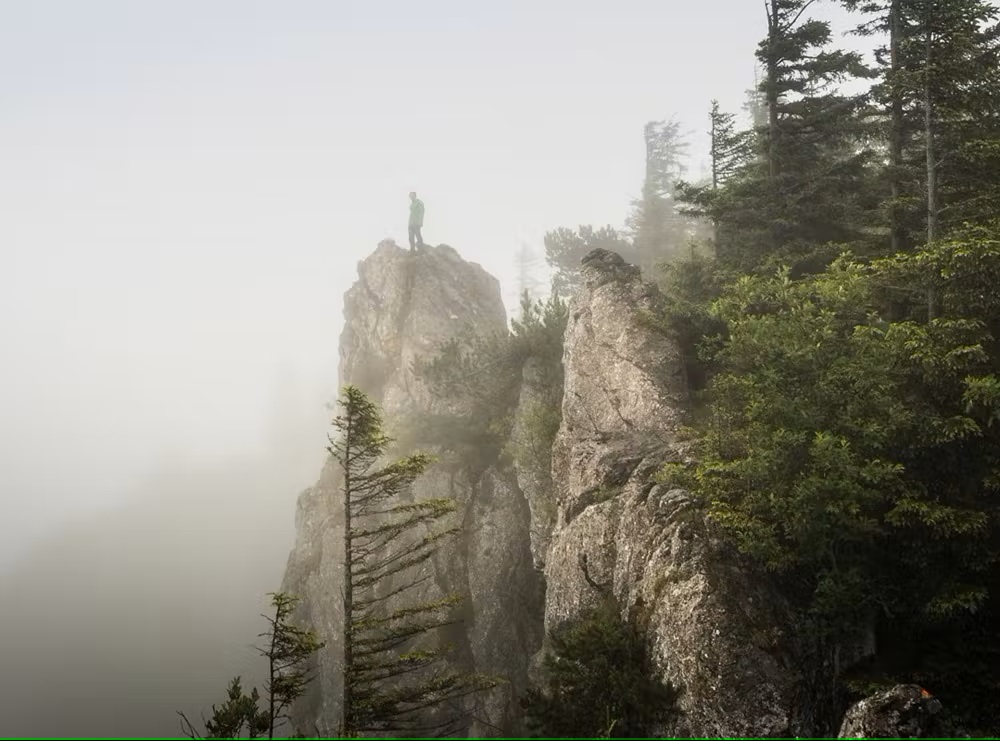 Bild Der Geierstein im Nebel