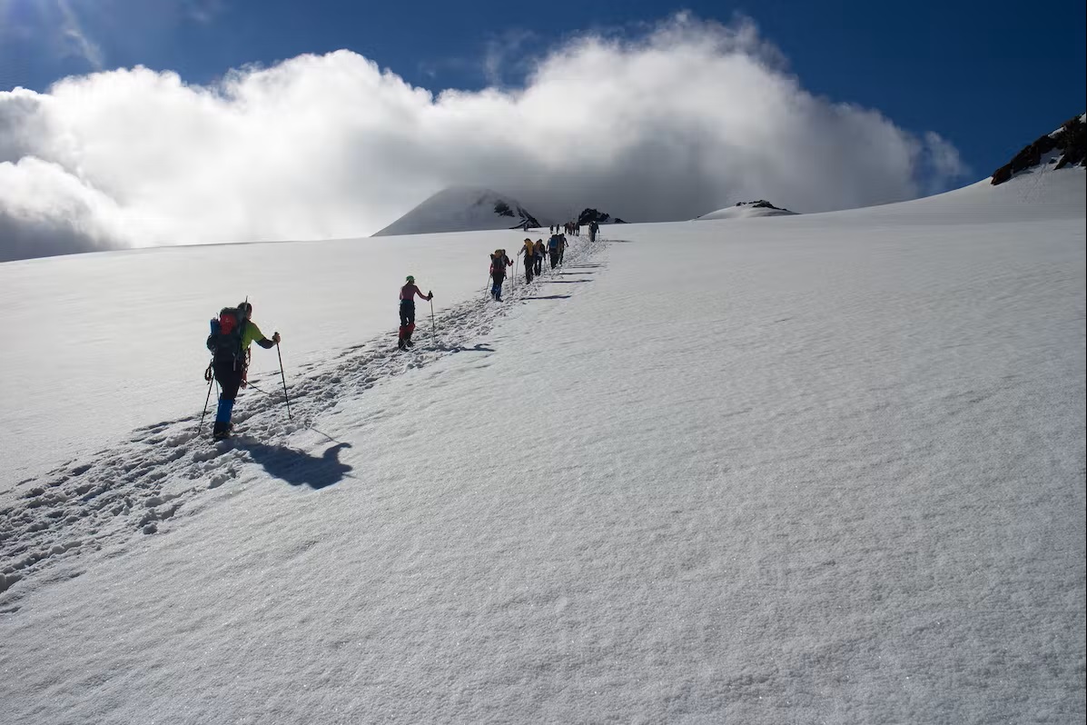 Bild Mehrere Skitourengeher laufen über den spaltenarmen Similaungletscher