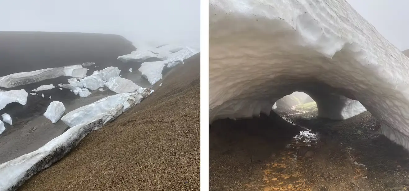 Bild Schnee. Eis. Moos. Heiße Flüsse.