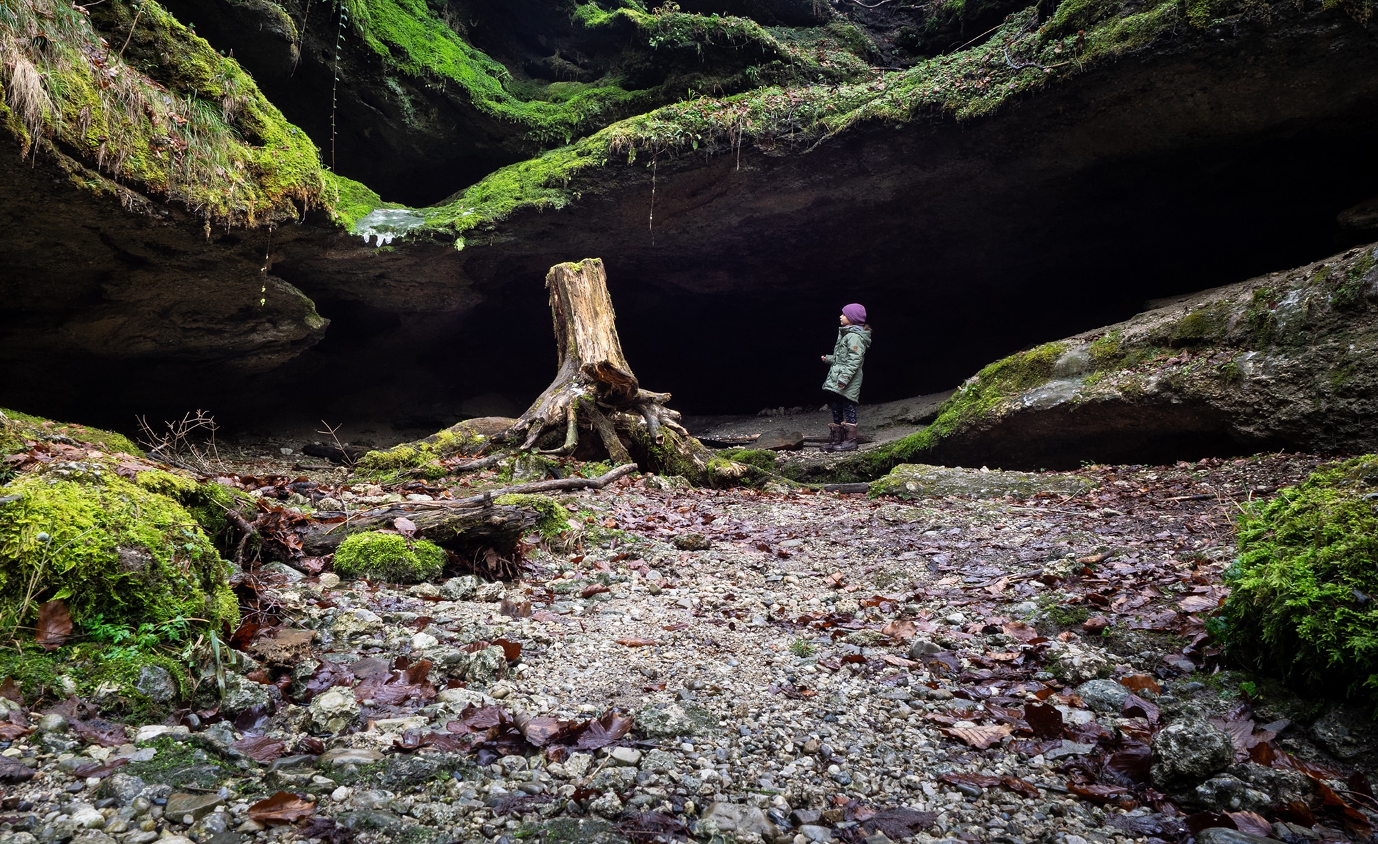 Bild Ein Kind steht am Rand einer moosigen verwunschenen Höhle und bewundert die gruen bewachsenen Felsen