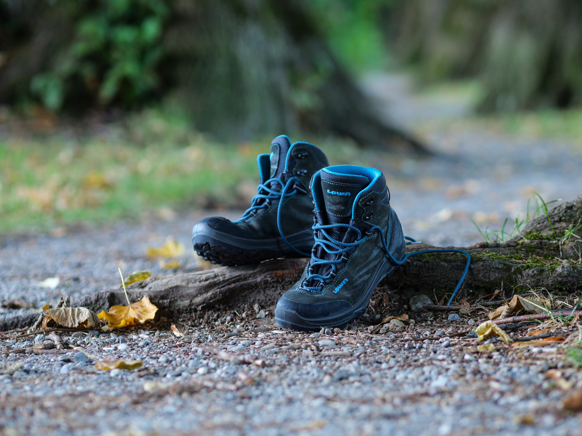 Bild Blaue Kinder-Wanderschuhe stehen auf einer Wurzel