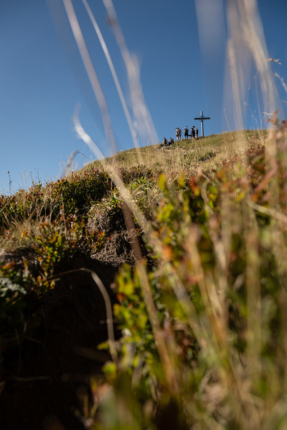 Bild Eine Gruppe Wanderer auf einem grasbewachsenen Gipfel neben einem Gipfelkreuz.