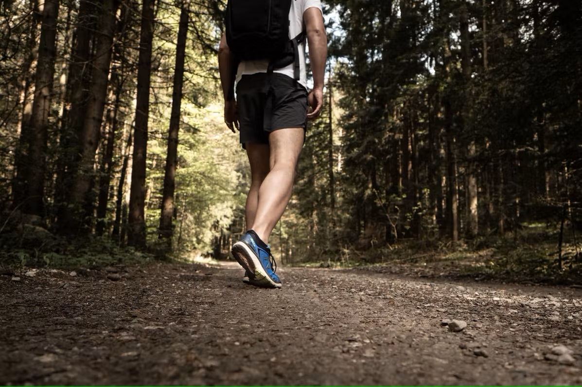 Bild Wanderer mit Turnschuhen im Wald 