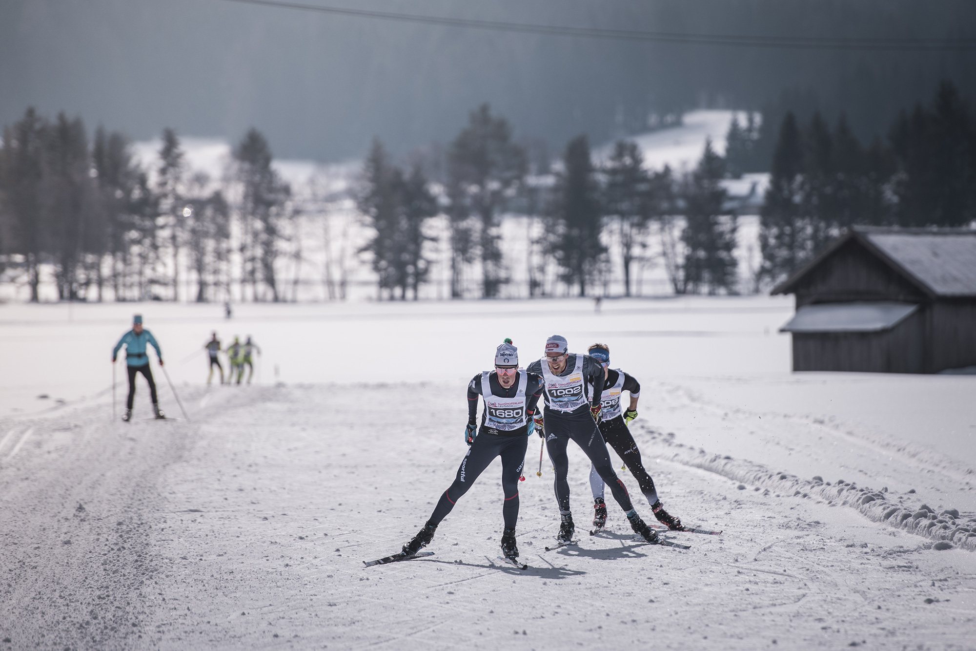 Bild Langläufer in Seefeld bei einem Wettkampf