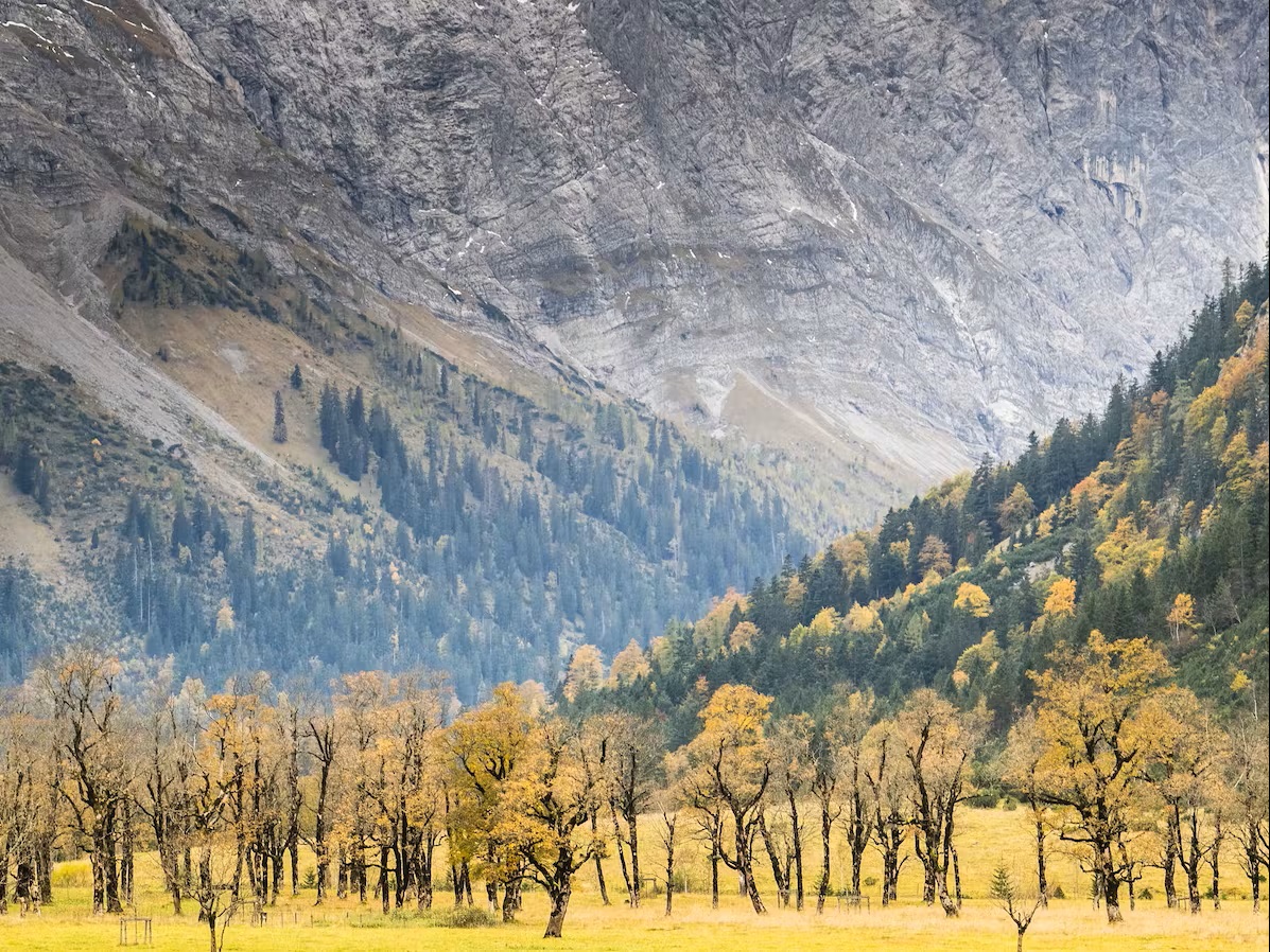Bild Der Ahornboden wenn es ruhig wird im Karwendel