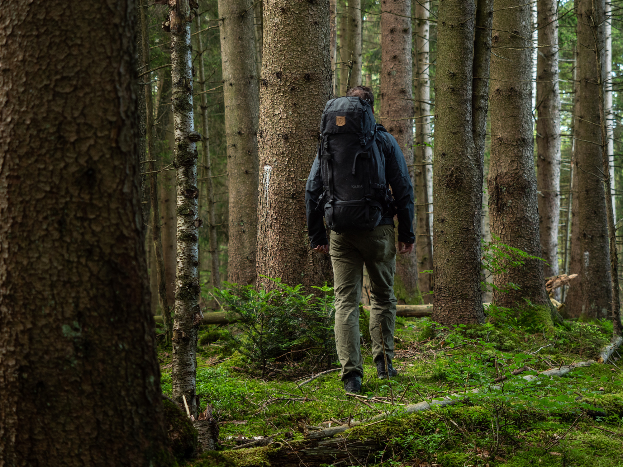 Bild Mann wandert mit großem Rucksack durch den Wald.