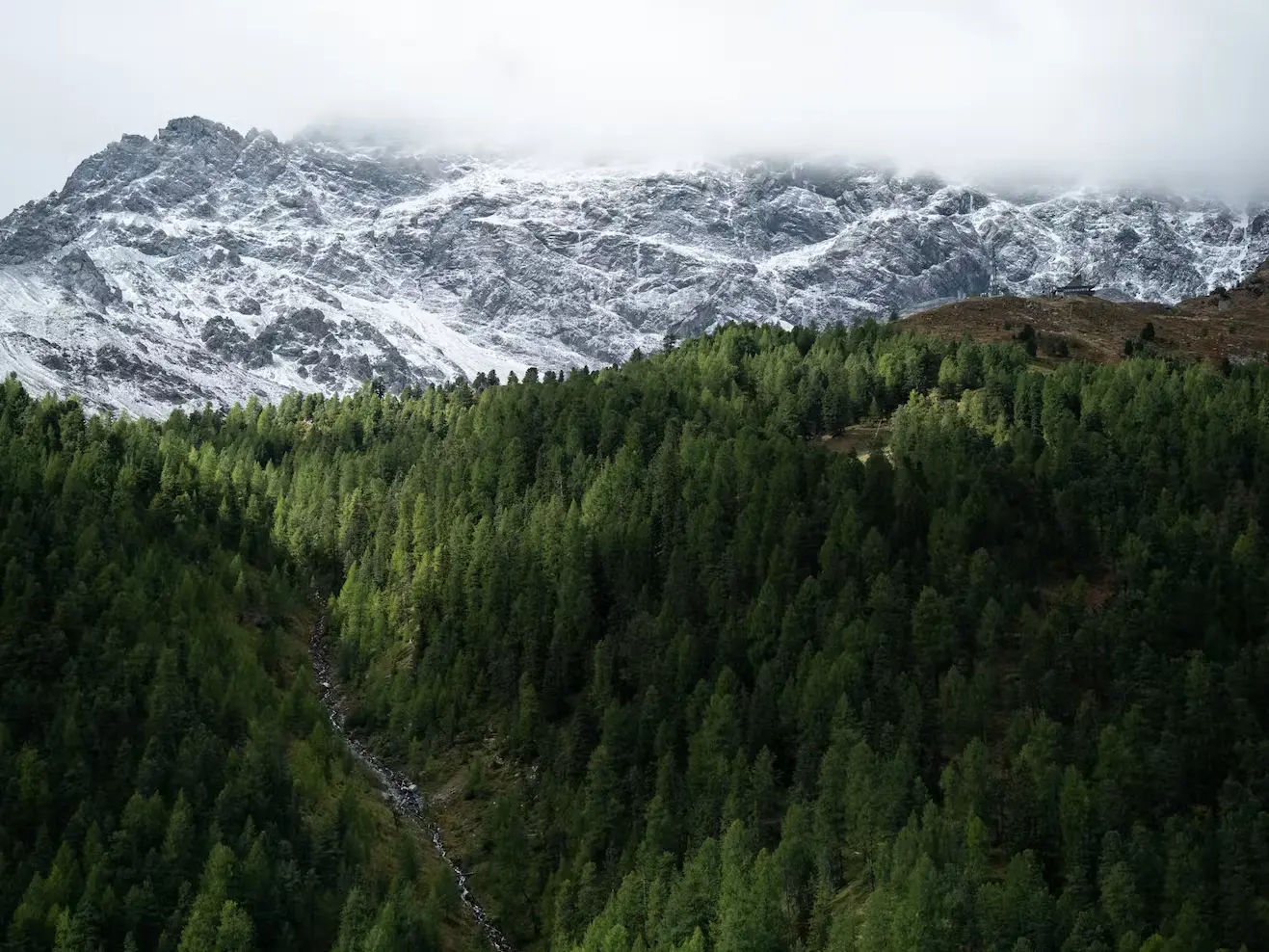 Bild Talansicht vom wolkenverhangenen Ortler, unten sieht man Wald, oben Fels und Eis.