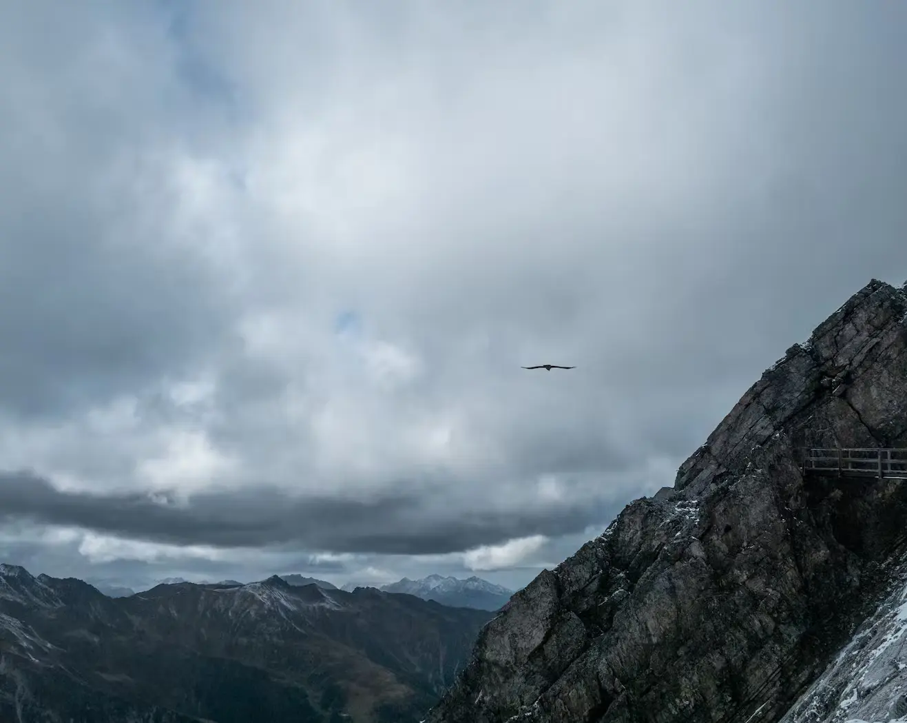 Bild Ein Bartgeier im Flug vor dramatischen Wolken