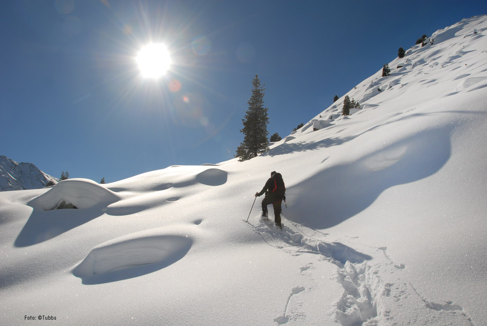 Bild Ein Schneeschuhwanderer auf einem verschneiten, sonnigen Hang
