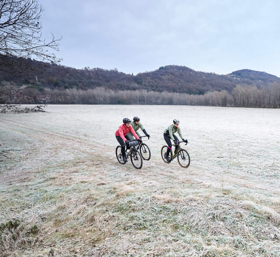 Bild Bike
