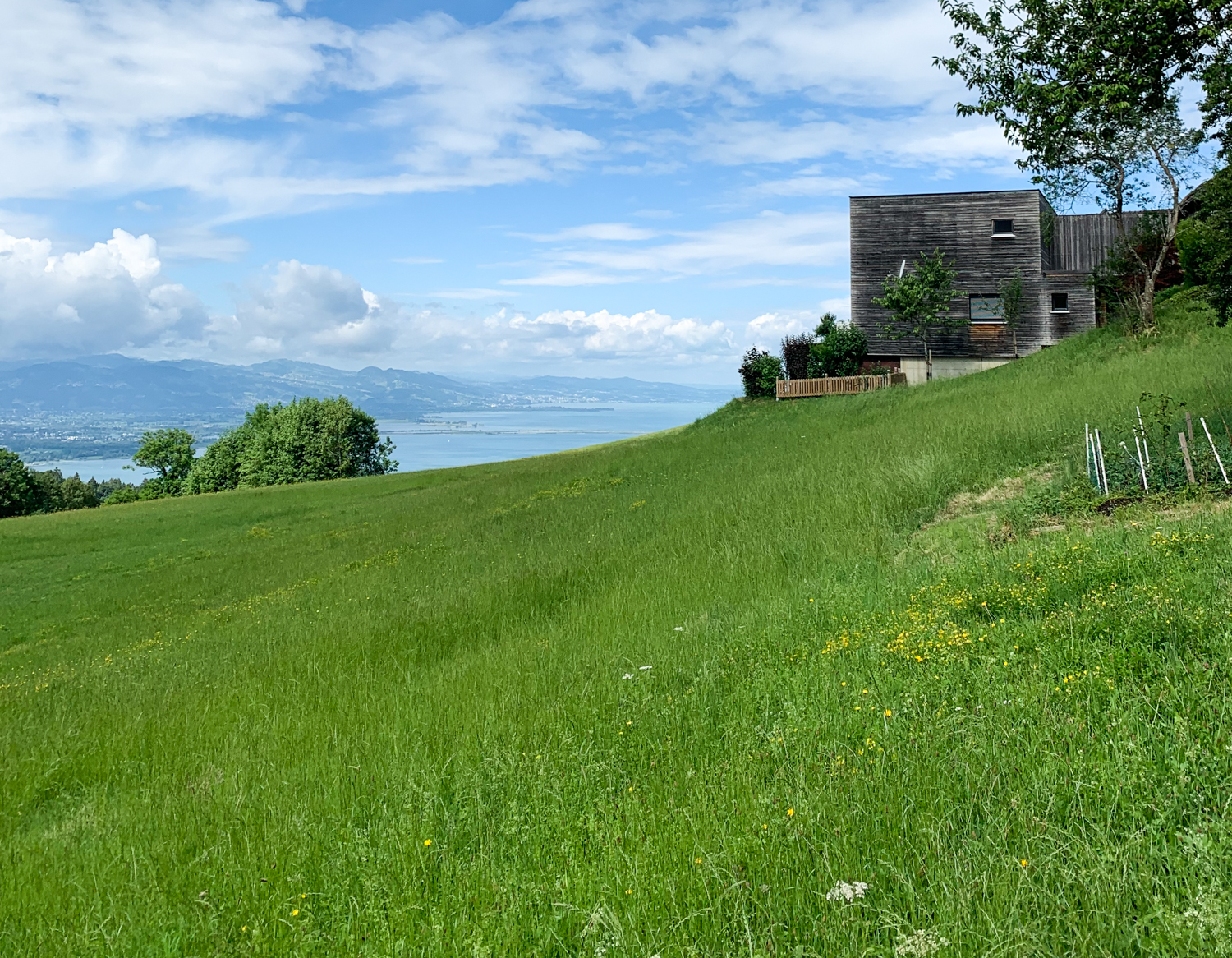 Bild Blick über eine grüne Wiesenlandschaft mit einem modernen Holzhaus. Im Hintergrund sieht man den Bodensee.