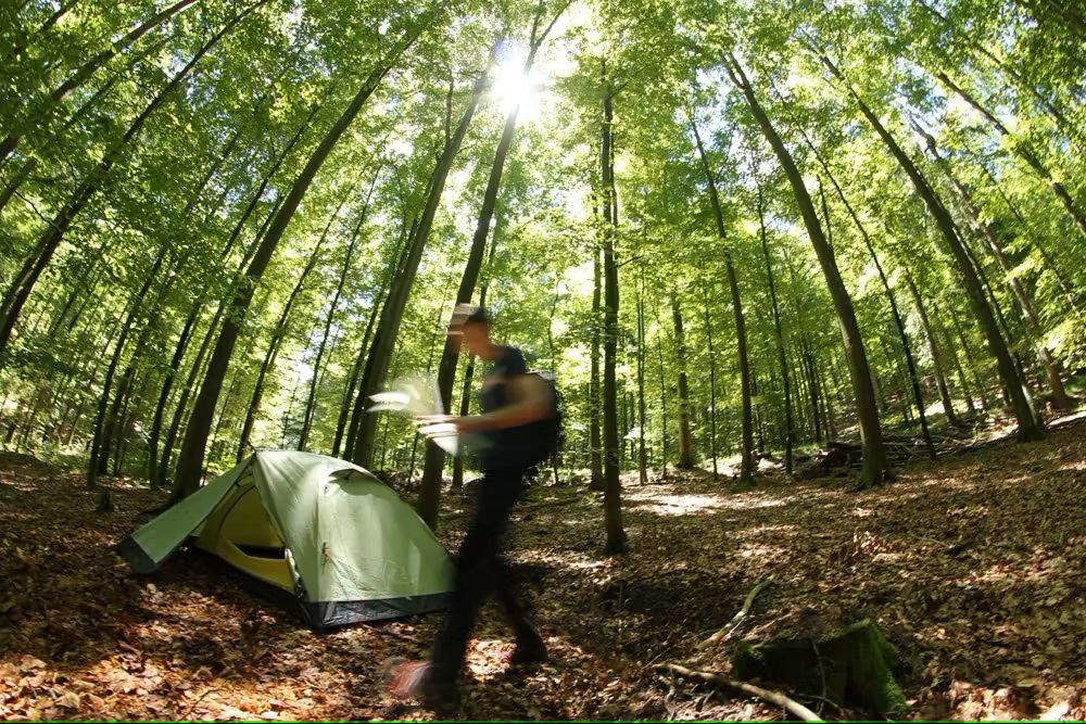 Bild Ein Mann im Wald geht an einen grünen Zelt vorbei