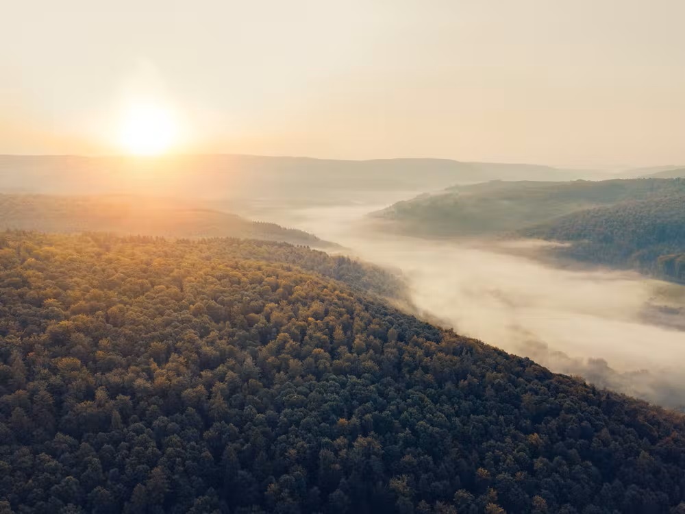 Bild Der Spessart von oben