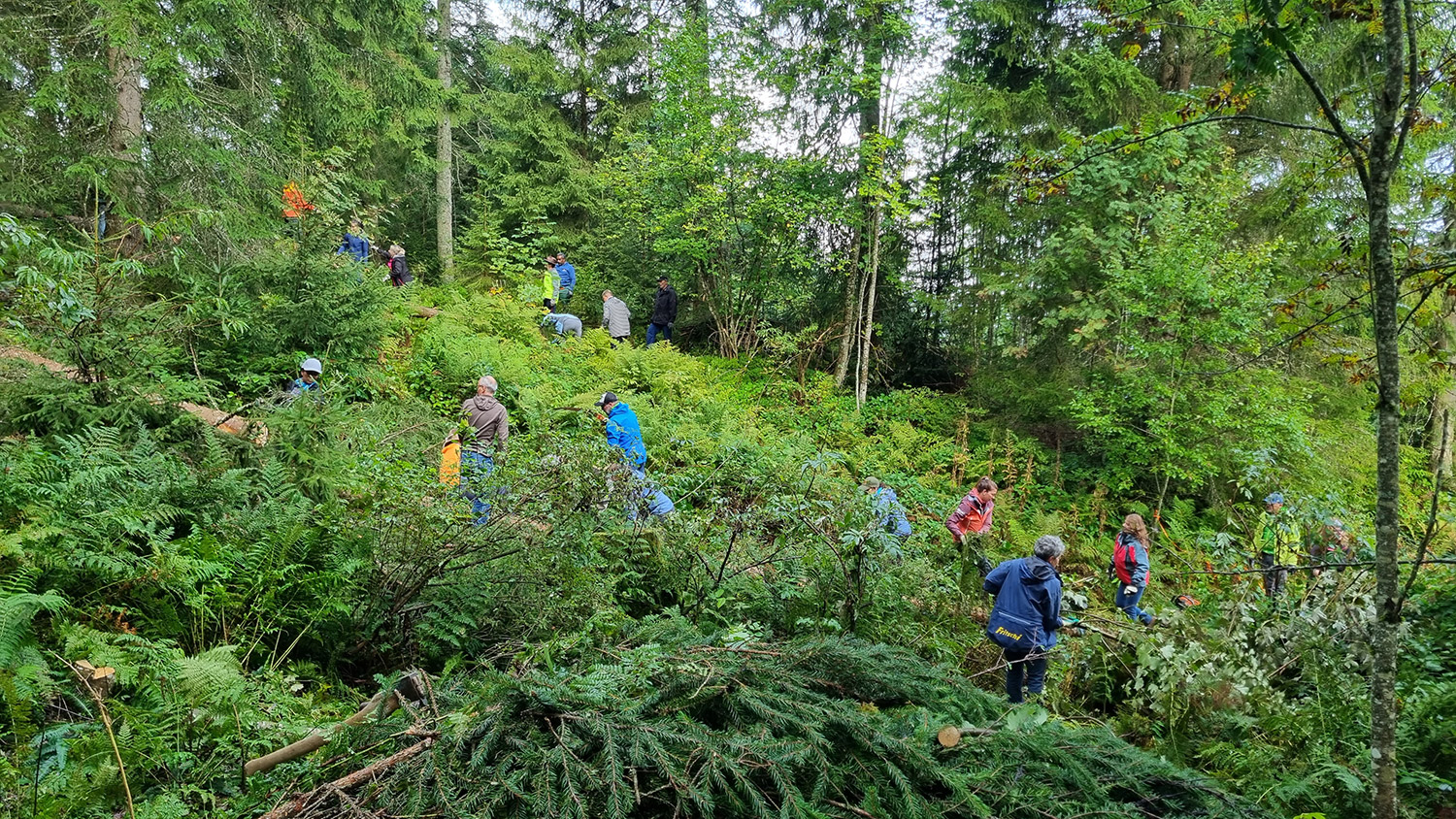 Bild Fritschi Mitarbeiter bei einem UNESCO Projekt im Bergwald.
