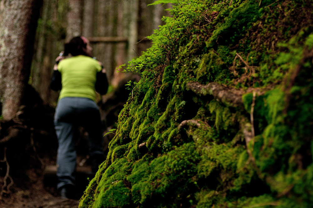 Bild Moosiger Waldboden in dichtem Bergwald, im Hintergrund unscharf die Umrisse einer Bergsteigerin.