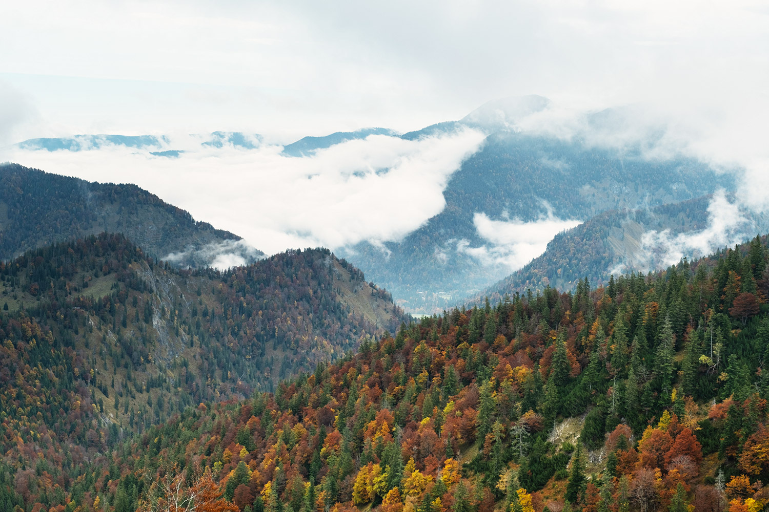 Herbstwald in den Bergen