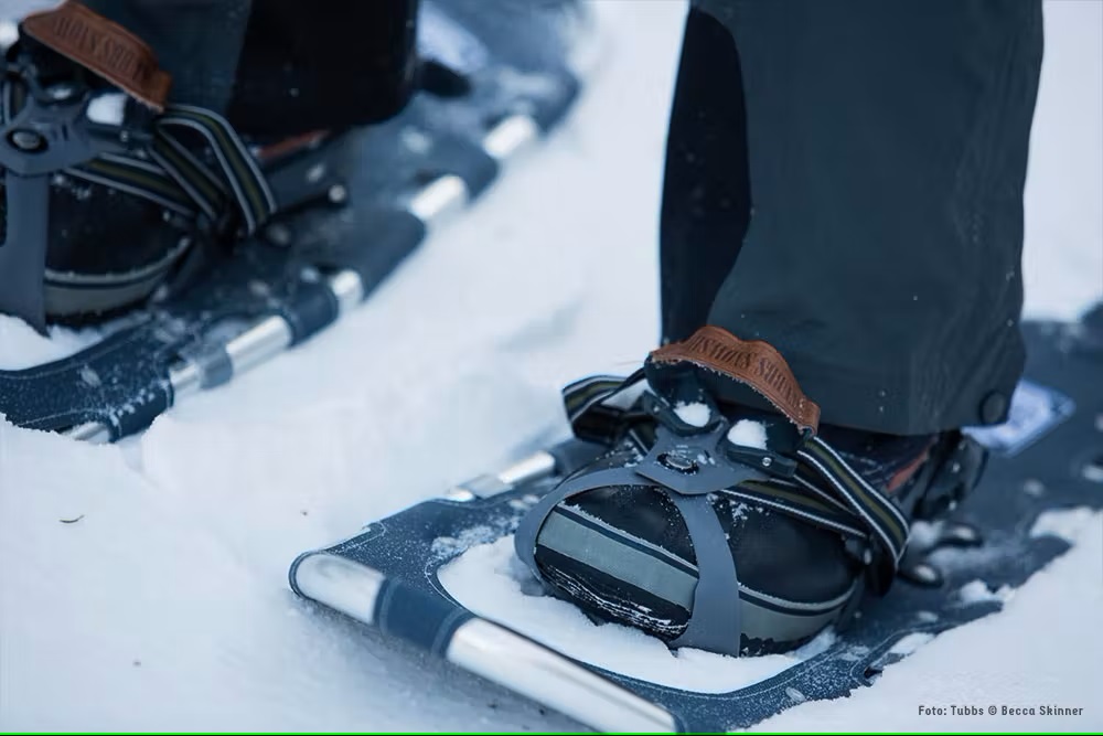 Bild Schneeschuhe angezogen im Schnee
