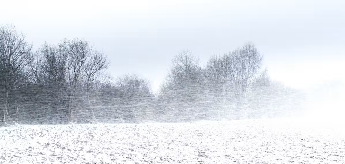 Bild Schnee und stürmischer Wind 
