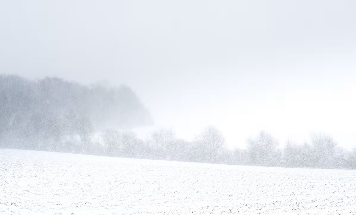 Bild Im Schneesturm, fast alles weiß