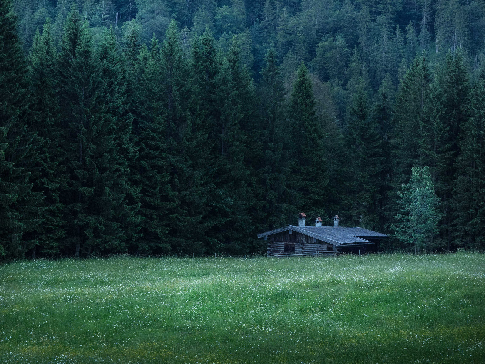 Bild Berghuette vor tiefem Wald