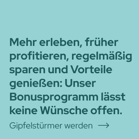 Bild Gipfelstürmer werden