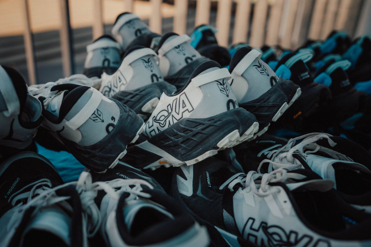 Hoka Speedgoat 7