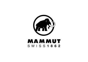 Bild Mammut