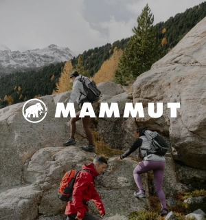 Bild Mammut Herbstwandern