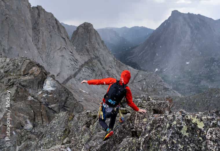 Bild Patagonia Regulator Fleece