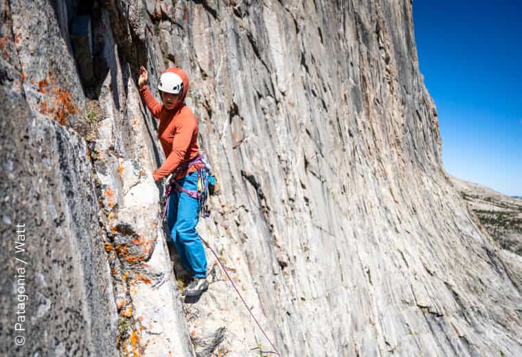 Bild Patagonia Regulator Fleece