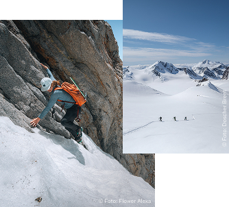 Collage von Sportler*innen in Patagonia Bekleidung