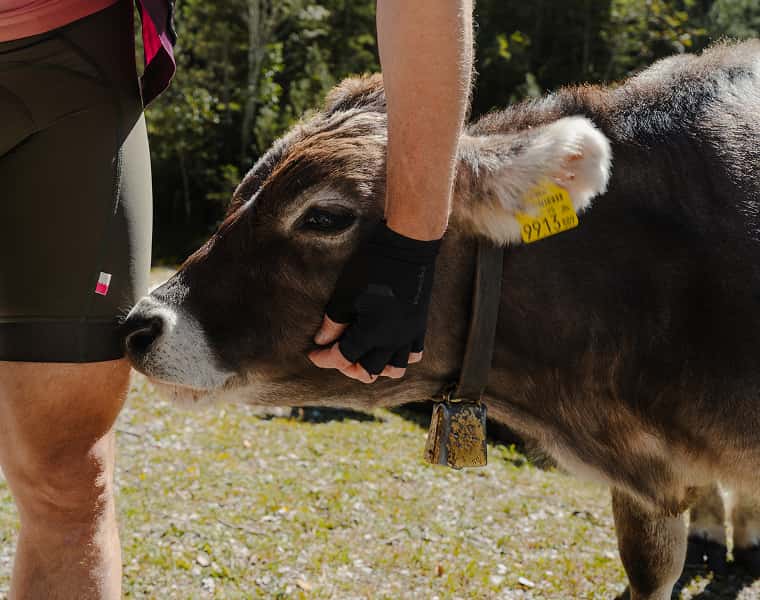 Roeckl Sports Bikehandschuhe