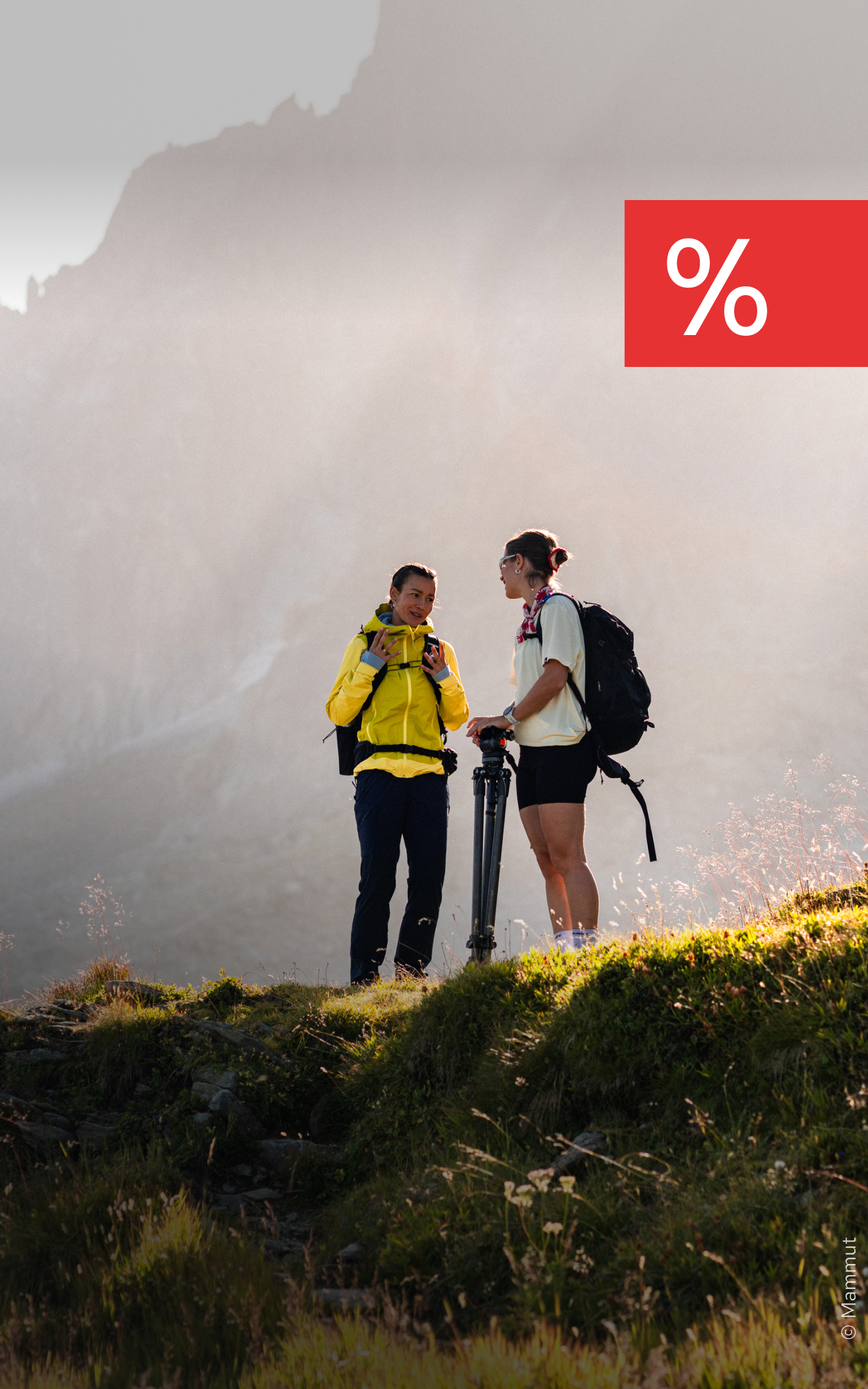 Bild: Jetzt bis zu 40% sparen!
