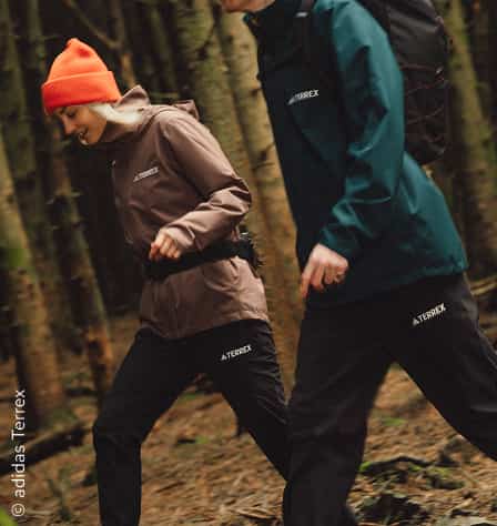 Zwei Personen gehen durch einen Wald