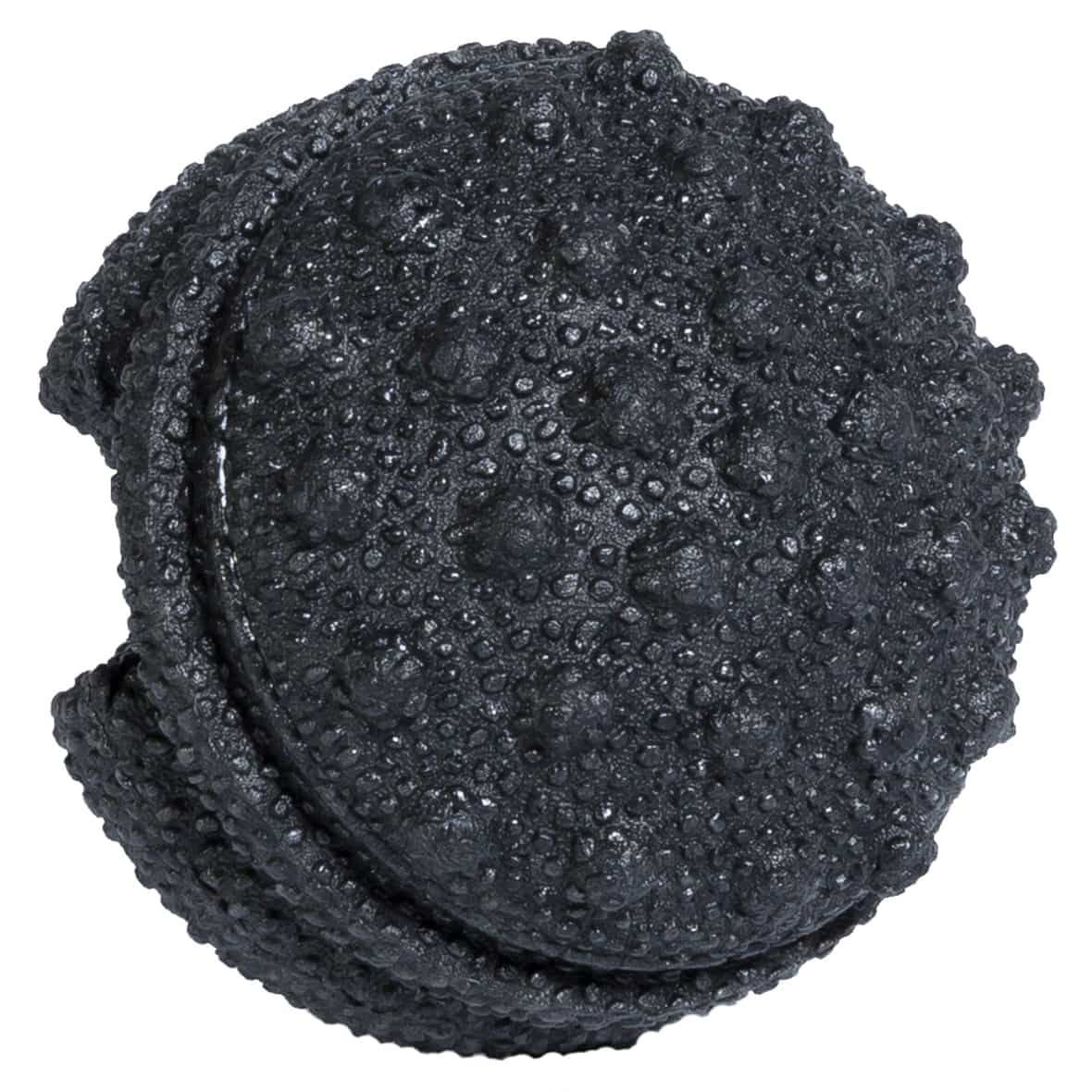 Twister Faszientrainer