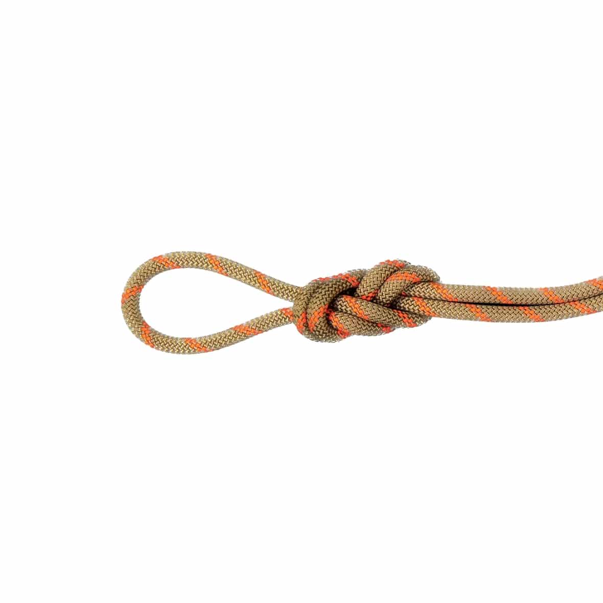 Mammut 8.0 Alpine Dry Rope Zwillingsseil (Hellgrau 60 Länge in m) Schlingen