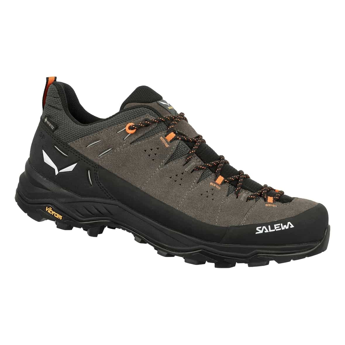 Salewa Alp Trainer 2 GTX M Herren Multifunktionsschuhe (Schlamm 10 UK, 44.5 EU)  Typ A (Halbschuhe) Wanderschuhe