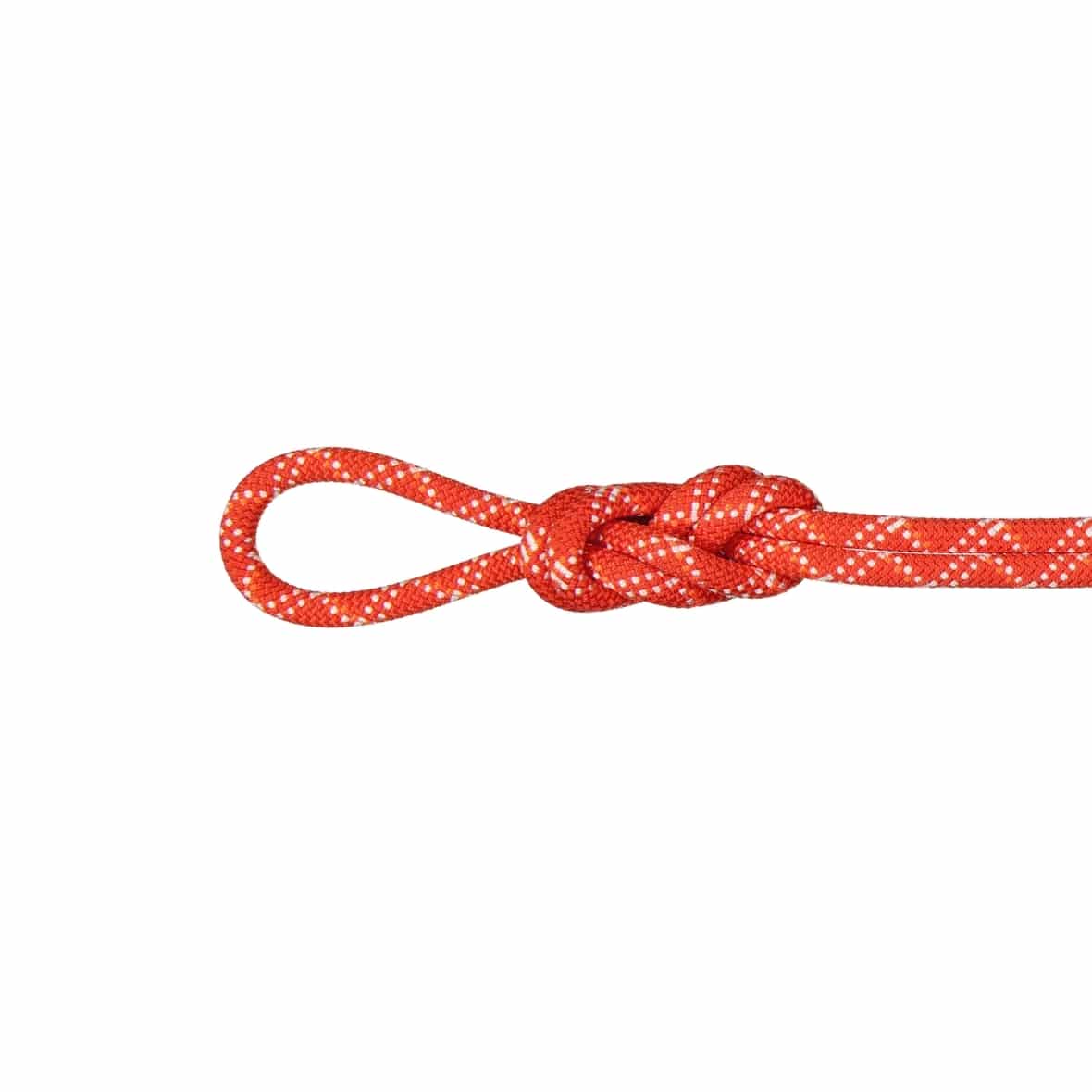 Mammut 9.5 Gym Classic Rope (Neutral 50) Schlingen