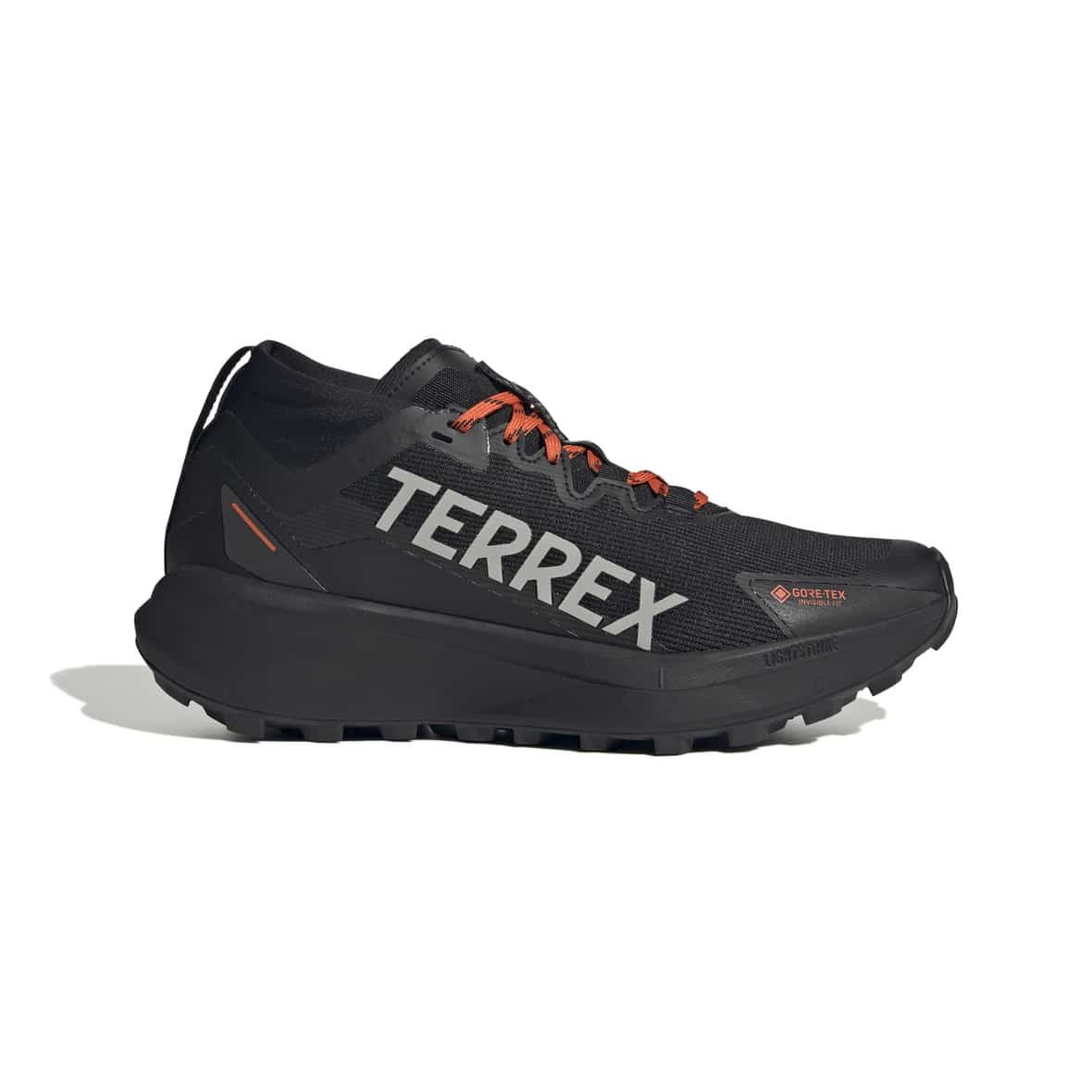 adidas Terrex Agravic GTX Herren (Schwarz 8)