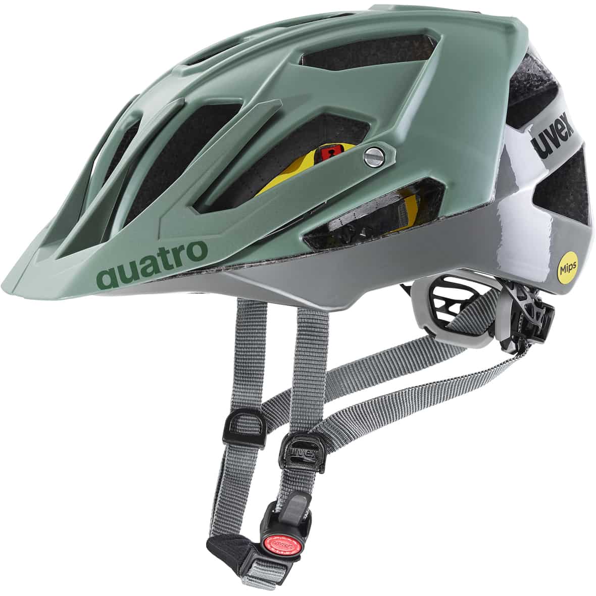 Quatro CC MIPS Fahrradhelm Grün_04__MOSS RHINO | 61