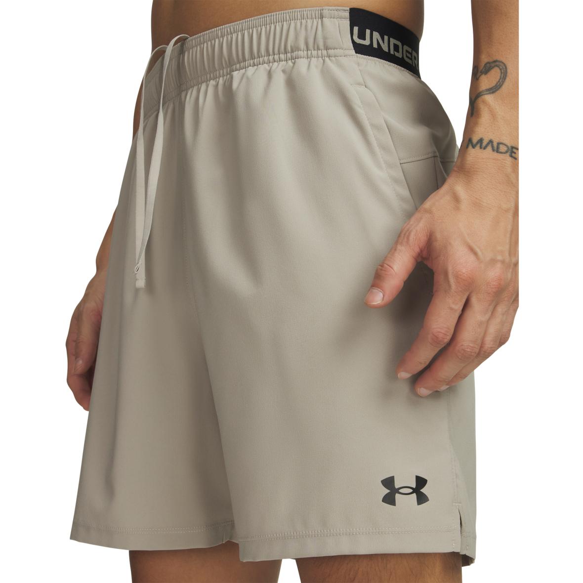 Vanish Woven DC Herren Shorts Beige_203 | XL
